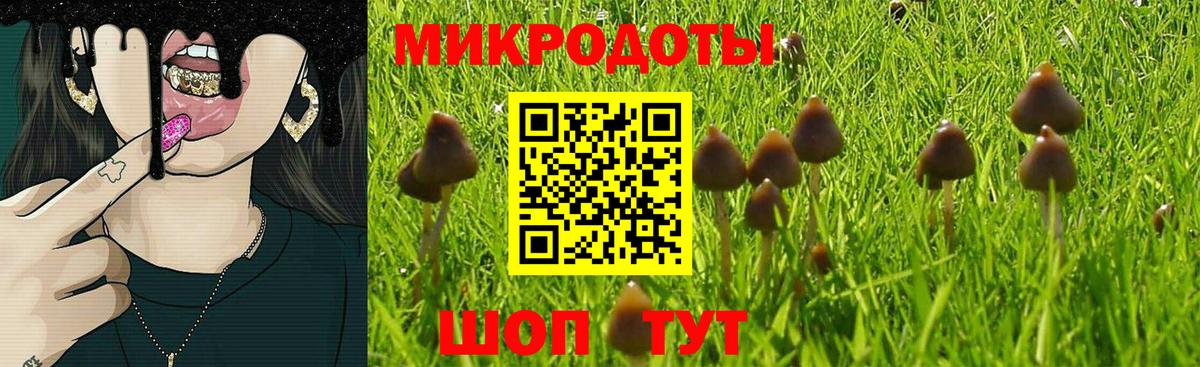 Галлюциногенные грибы ЛСД Красноуфимск